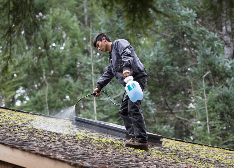 Keep Your Roof Clean