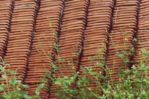 Spring Roofing Materials